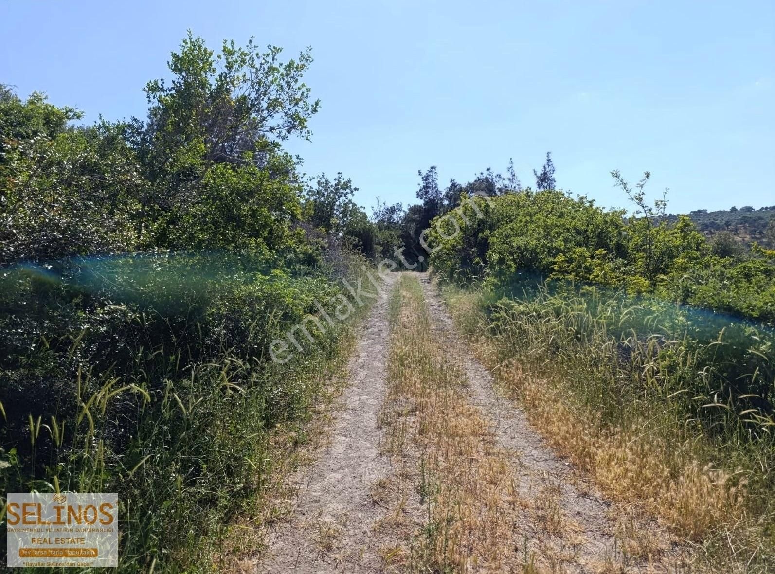 Bergama Sarıcalar Köyünde 10.314 M2 Tarla - Görsel 2