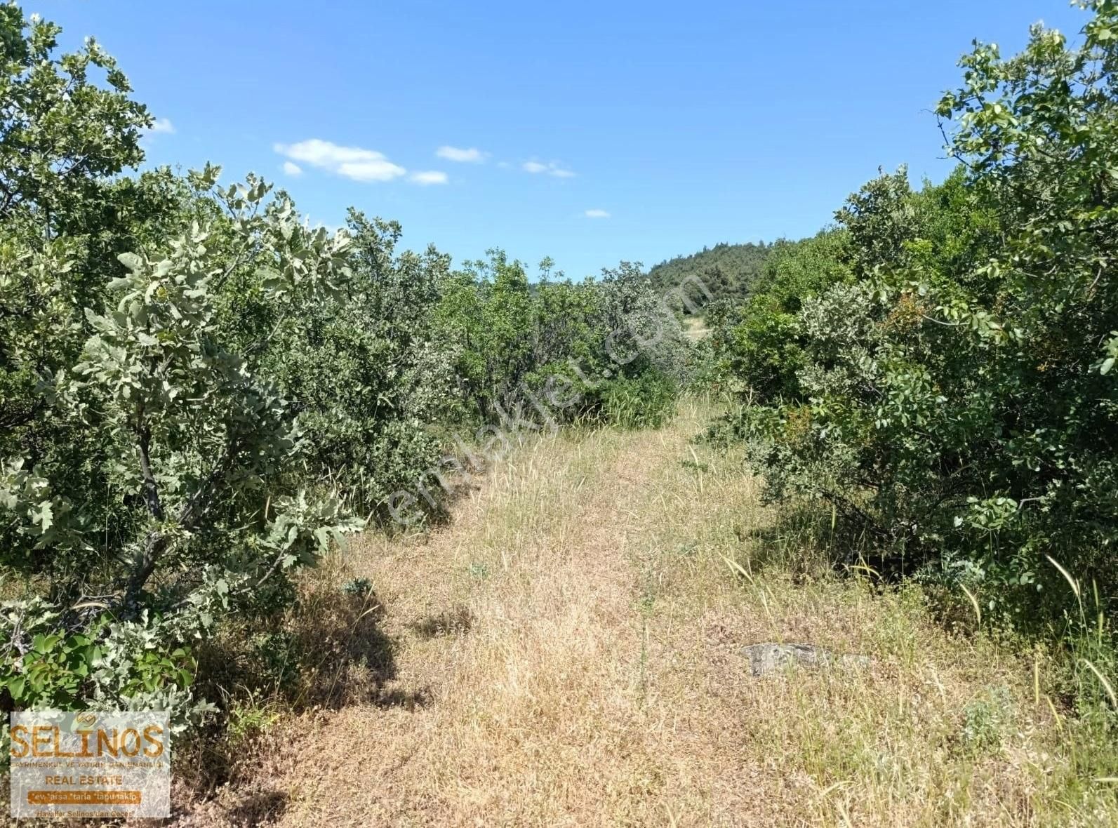 Bergama Sarıcalar Köyünde 10.314 M2 Tarla - Görsel 6