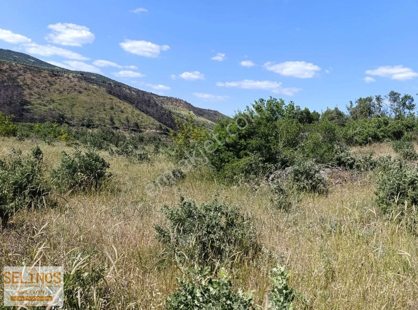 Bergama Sarıcalar Köyünde 10.314 M2 Tarla - Görsel 8