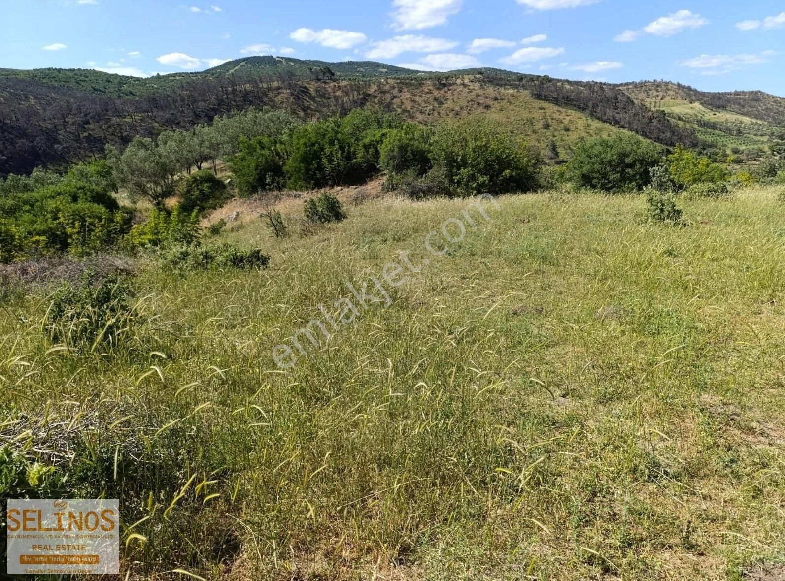 Bergama Sarıcalar Köyünde 10.314 M2 Tarla - Görsel 4