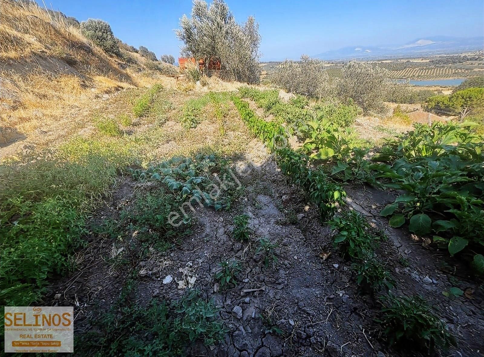 Bergama Merkeze Yakın Oturmaya Hazır Köy Evi - Görsel 20