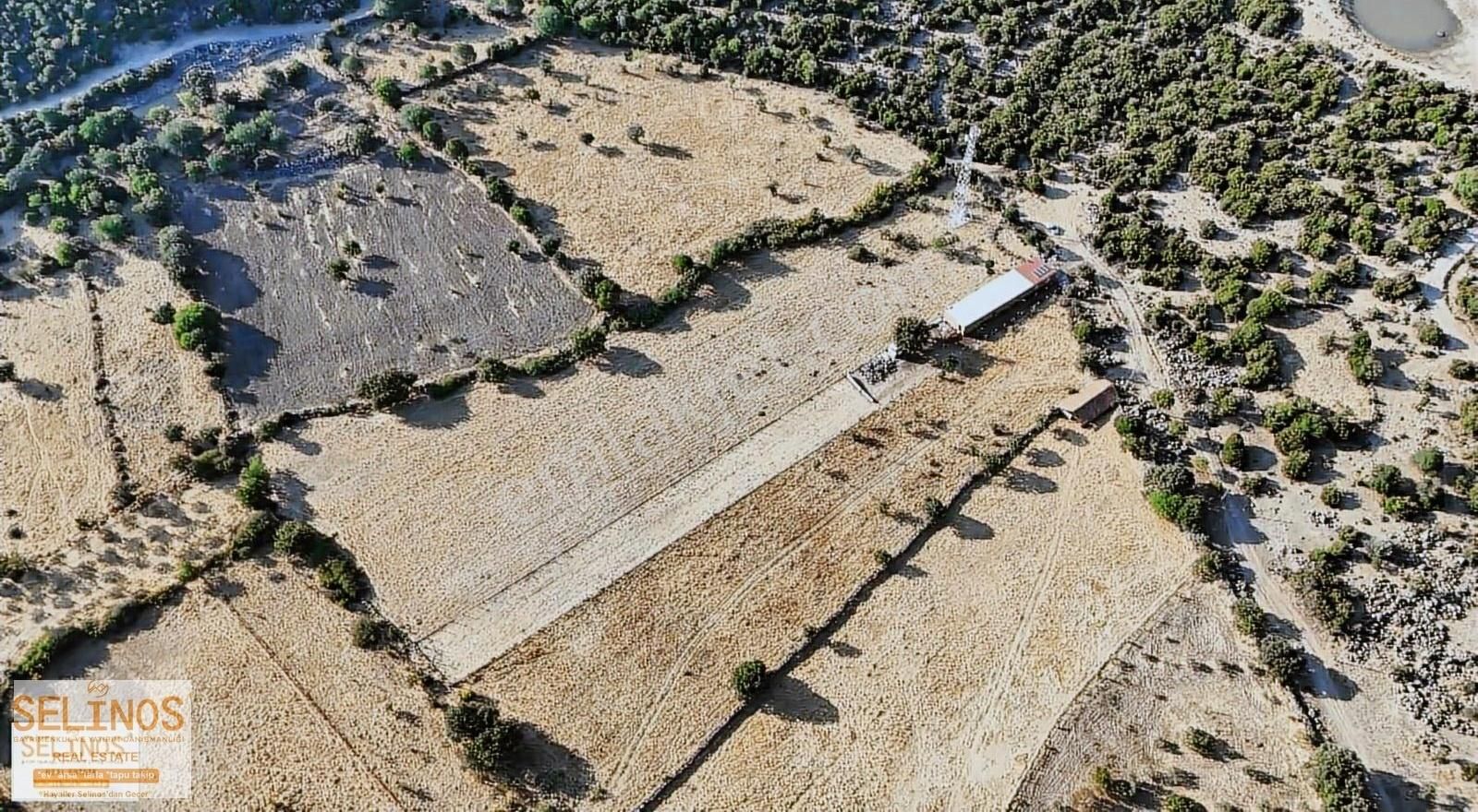 Dikili Katıralanında 1830 M2 Arazi - Görsel 5