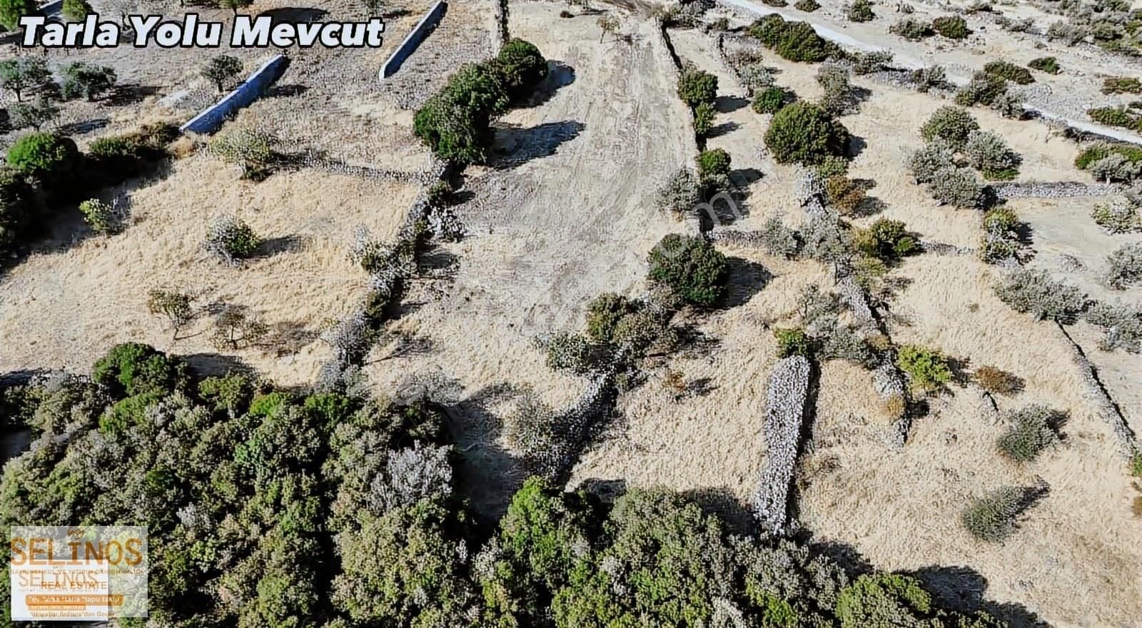 Dikili Yahşibey Mahallesinde Deniz Manzaralı 2079 M2 Arazi - Görsel 8