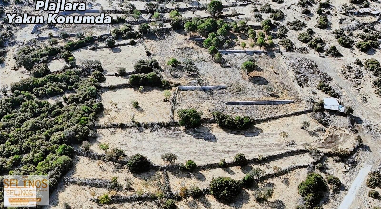 Dikili Yahşibey Mahallesinde Deniz Manzaralı 2079 M2 Arazi - Görsel 3