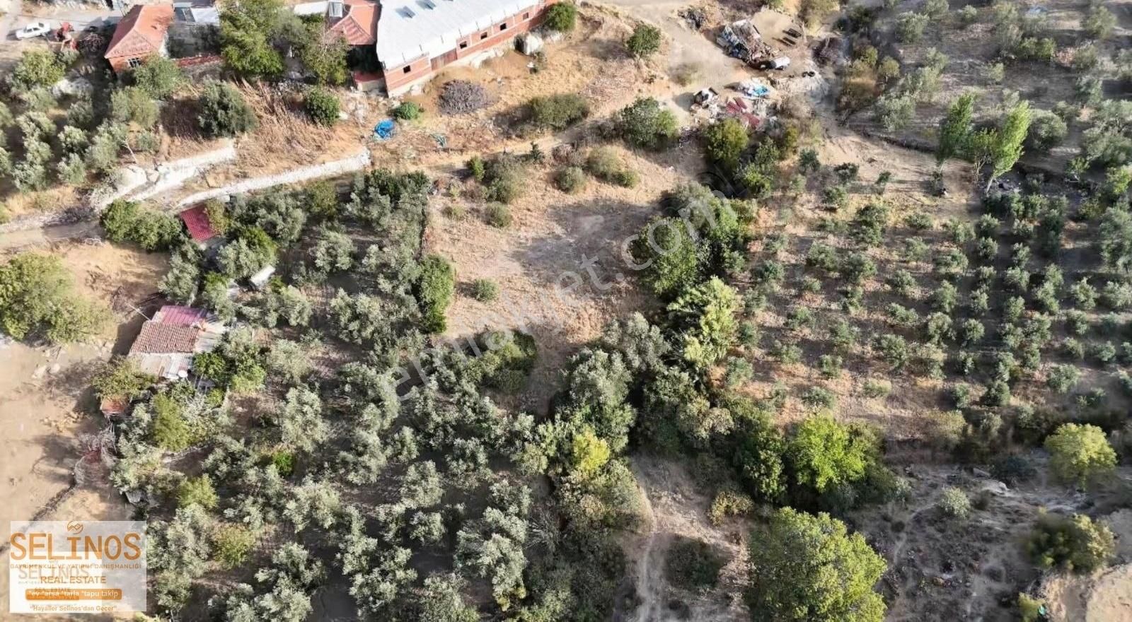 Paşaköy Mahallesinde 564 M2 İmarlı Arsa - Görsel 7