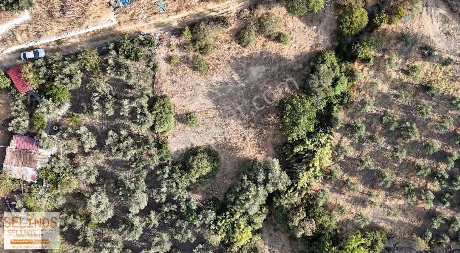 Paşaköy Mahallesinde 564 M2 İmarlı Arsa - Görsel 13