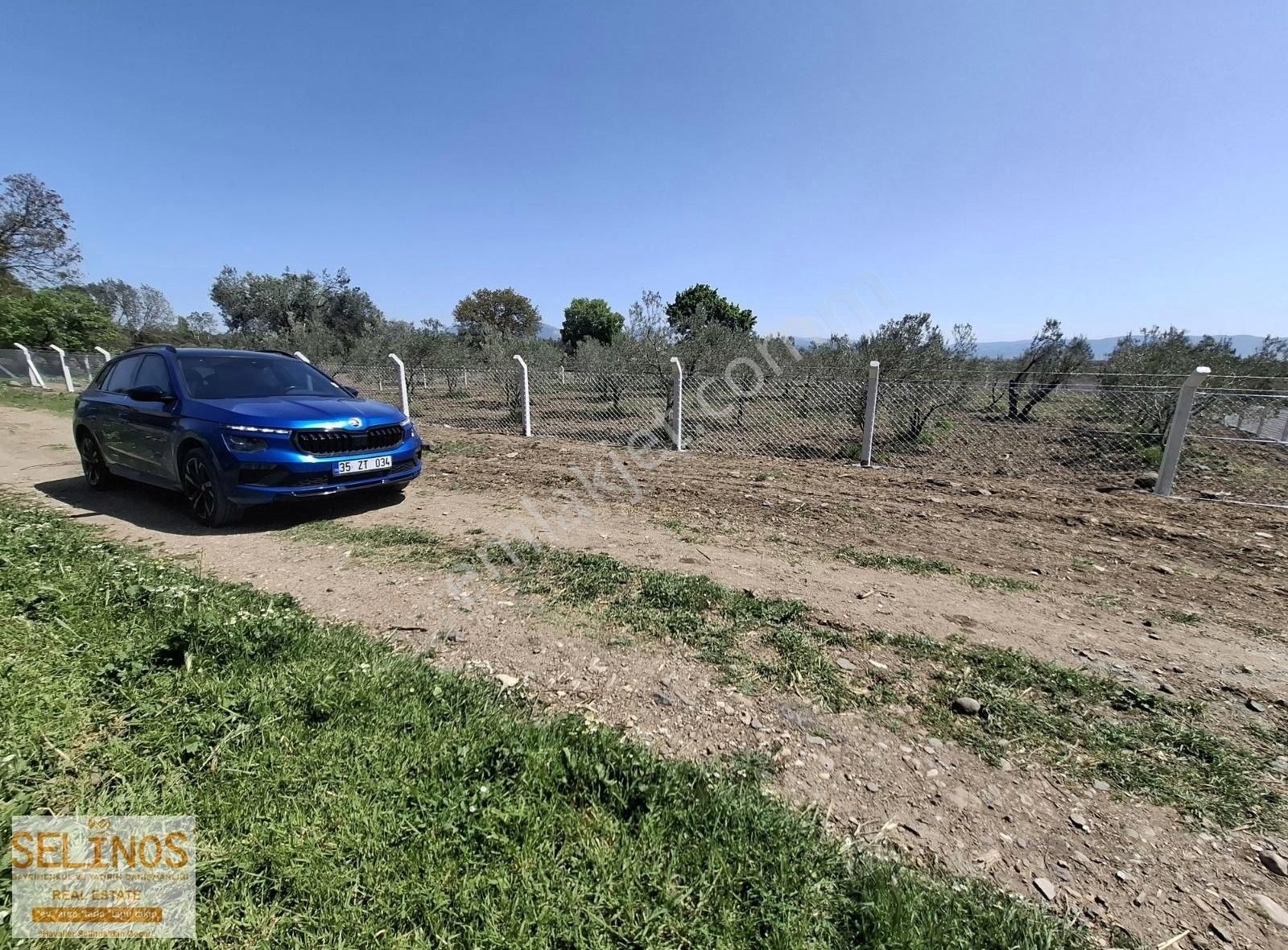 Bergama Göçbeyli Mahallesinde 2450 M2 Yol Cepheli Zeytinlik - Görsel 14