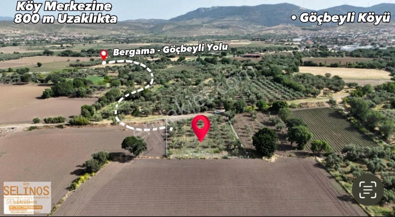 Bergama Göçbeyli Mahallesinde 2450 M2 Yol Cepheli Zeytinlik - Görsel 5