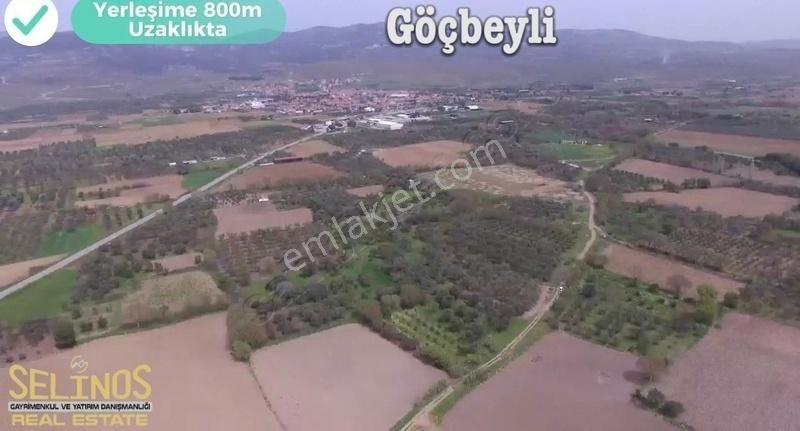 Bergama Göçbeyli Mahallesinde 2450 M2 Yol Cepheli Zeytinlik - Görsel 8