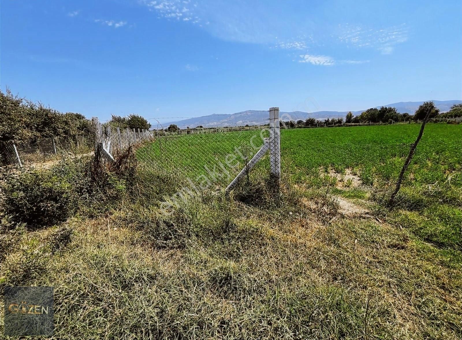 Serçeköy Sınırında 5000 M² Tek Tapu Yatırımlık Arazi - Görsel 4