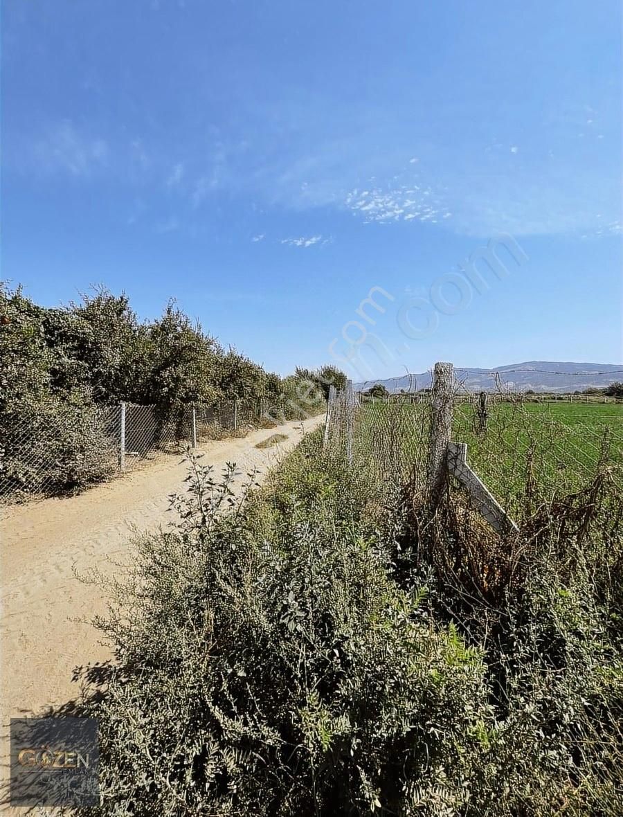 Serçeköy Sınırında 5000 M² Tek Tapu Yatırımlık Arazi - Görsel 5