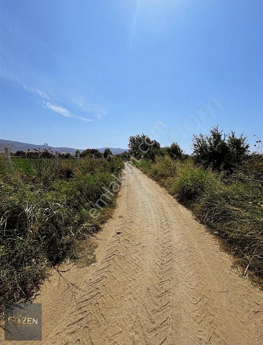 Serçeköy Sınırında 5000 M² Tek Tapu Yatırımlık Arazi - Görsel 2