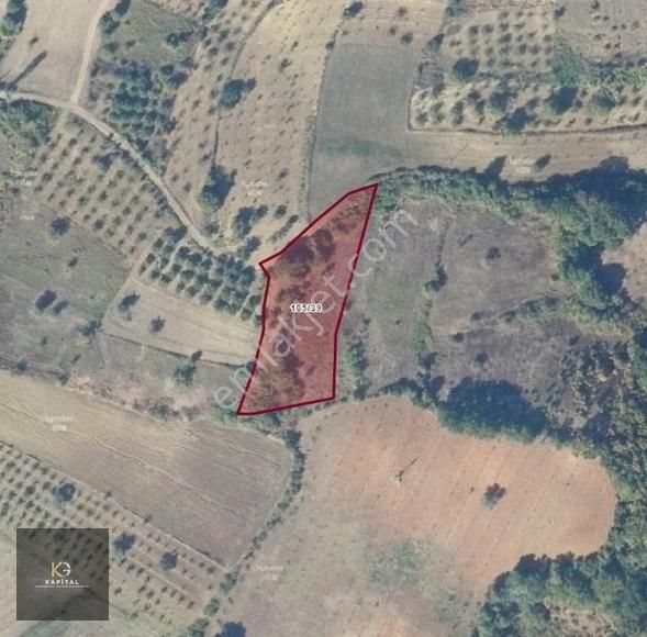 Bursa Mustafakemalpaşada Kapital'den Yatırımlık Fırsat Tarla