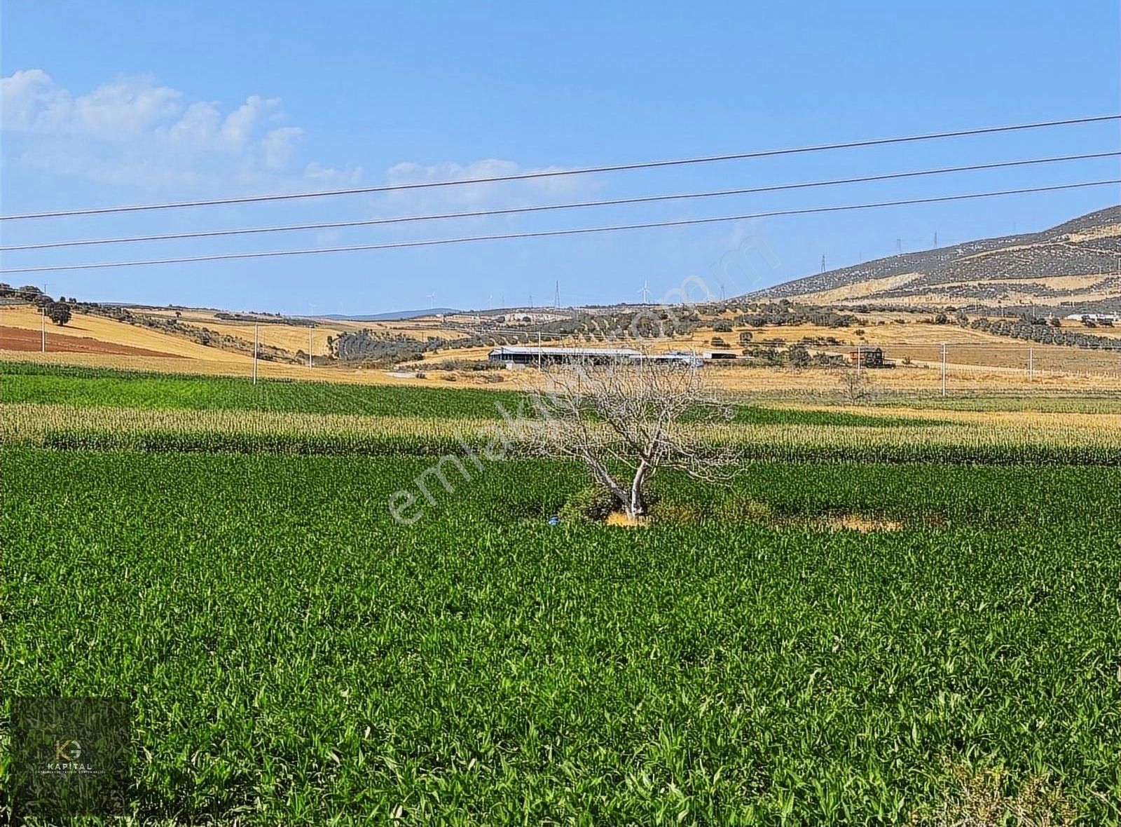 Karacabey Bandırma Ana Asfalta Çephe 10,800m2 Fırsat Tarla