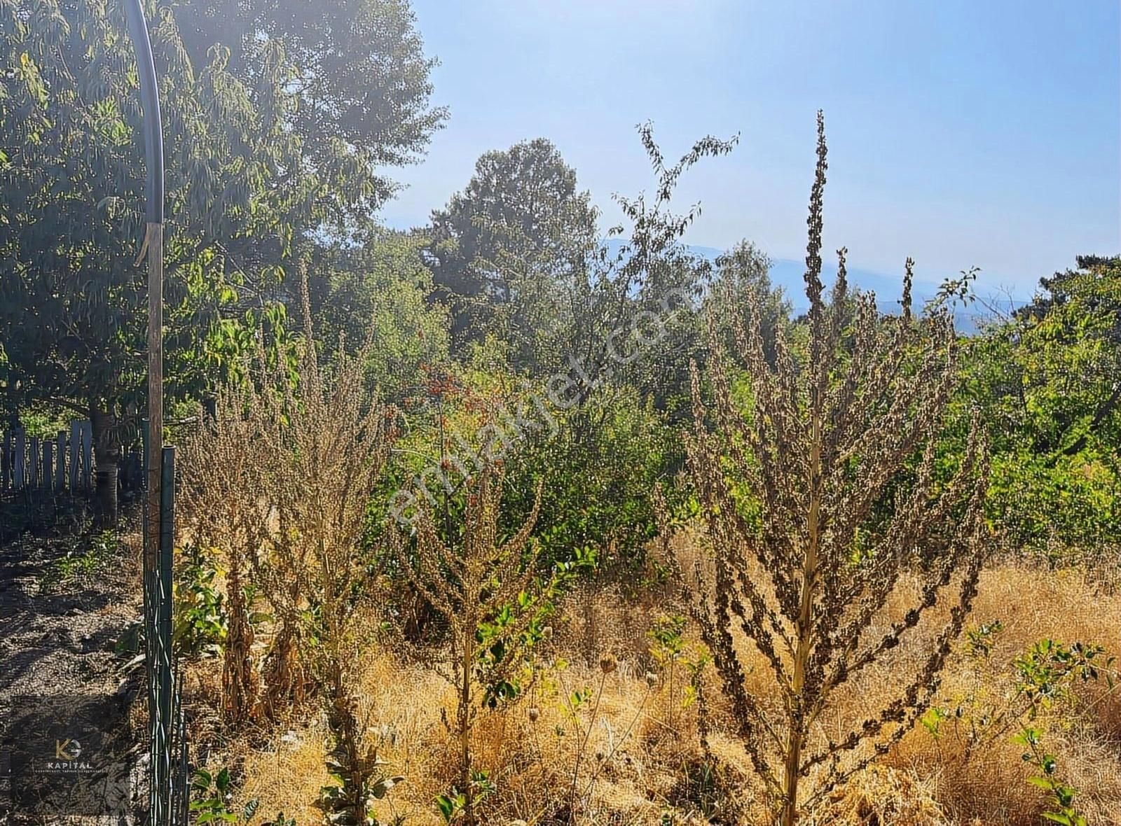Osmangazi Bağlı Köyün De 900 M2 Bahçe