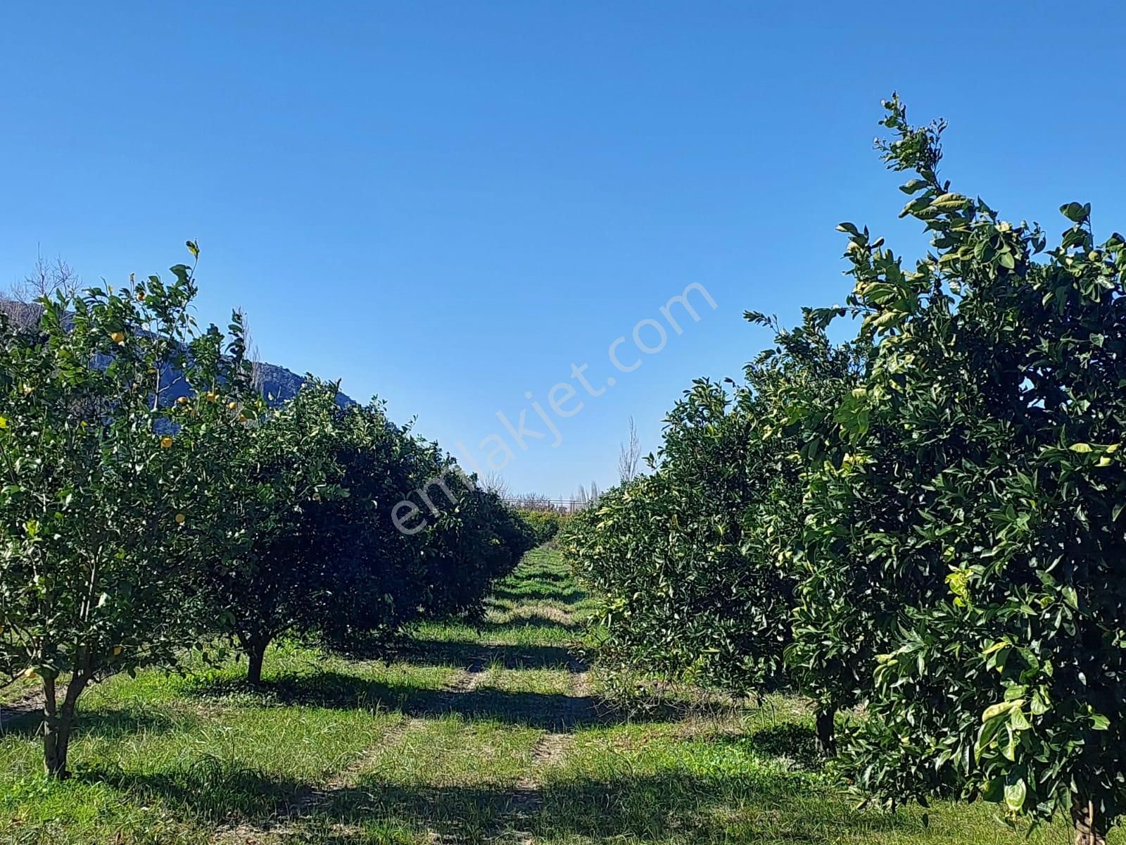 Muğla Ortaca Okçular’da 500 M² Yatırıma Uygun Arsa Satılık - Görsel 7