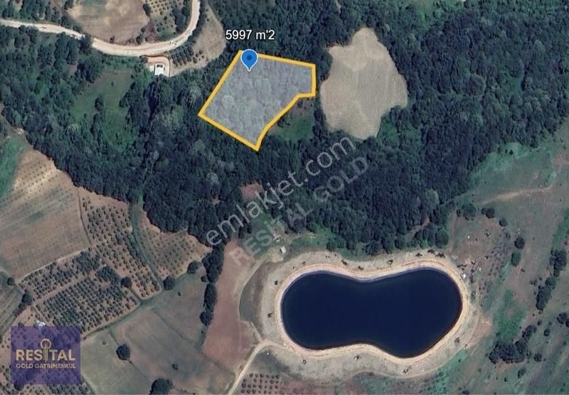 Bursa İnegöl Dipsizgölde Satılık Fırsat Arsa