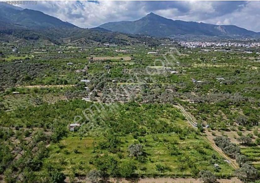 Armutlu Hürriyet Mahallesinde Satılık 2800 M2 Bahçe - Görsel 12
