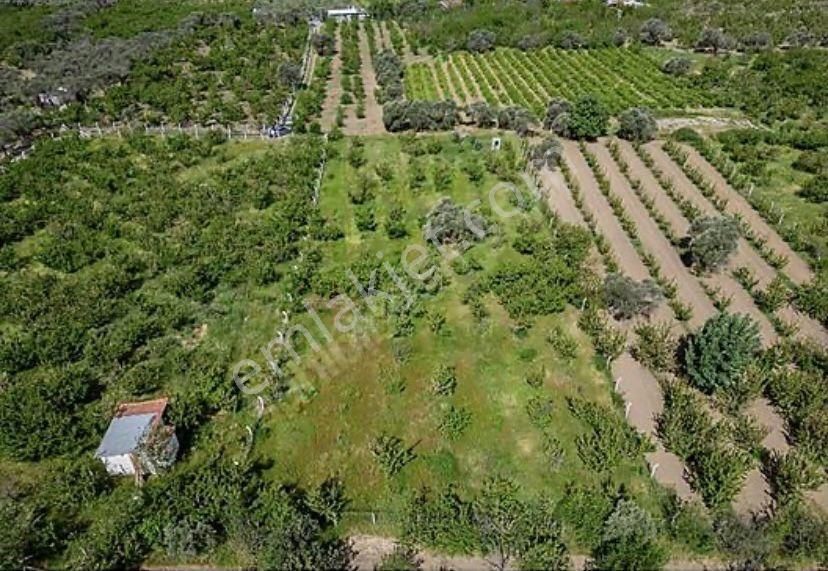 Armutlu Hürriyet Mahallesinde Satılık 2800 M2 Bahçe - Görsel 6
