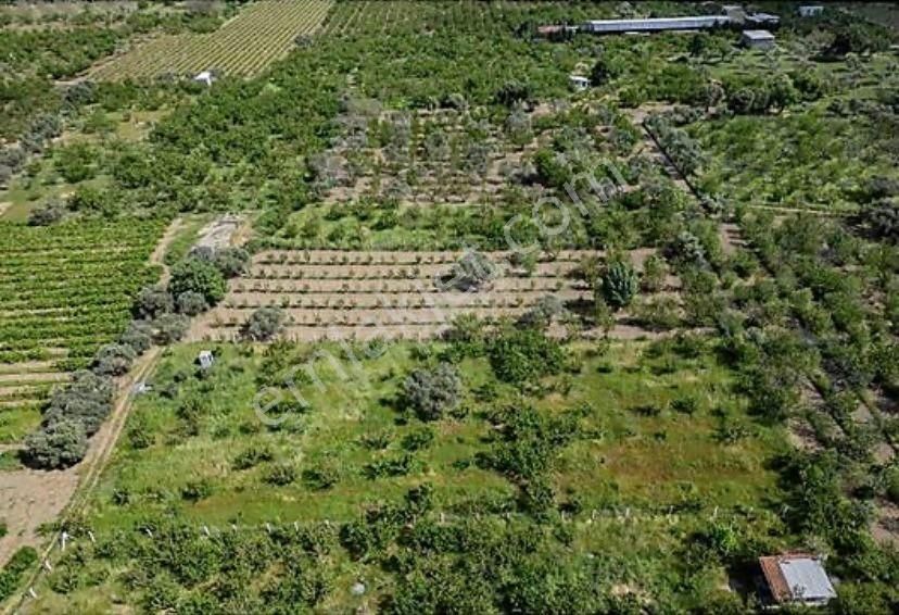 Armutlu Hürriyet Mahallesinde Satılık 2800 M2 Bahçe - Görsel 8