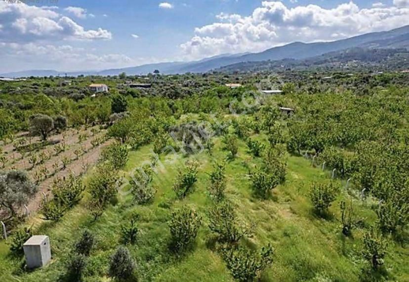 Armutlu Hürriyet Mahallesinde Satılık 2800 M2 Bahçe - Görsel 14