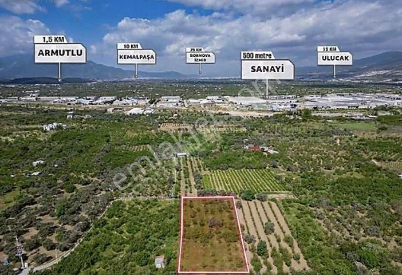 Armutlu Hürriyet Mahallesinde Satılık 2800 M2 Bahçe - Görsel 18
