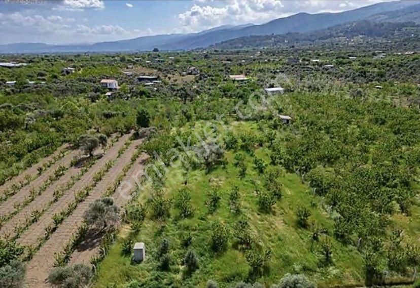 Armutlu Hürriyet Mahallesinde Satılık 2800 M2 Bahçe - Görsel 13