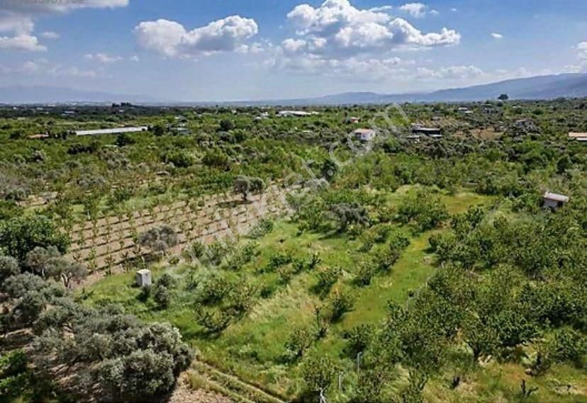 Armutlu Hürriyet Mahallesinde Satılık 2800 M2 Bahçe - Görsel 16