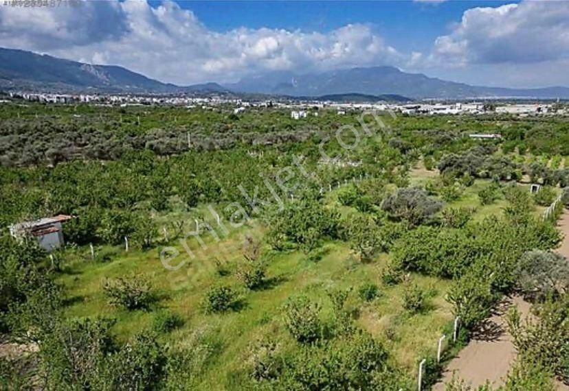 Armutlu Hürriyet Mahallesinde Satılık 2800 M2 Bahçe - Görsel 9