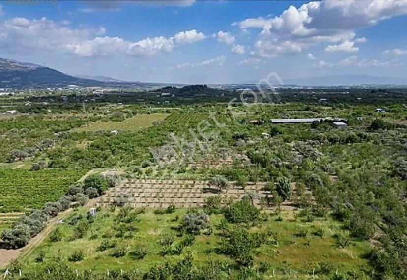 Armutlu Hürriyet Mahallesinde Satılık 2800 M2 Bahçe - Görsel 17