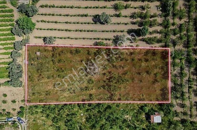 Armutlu Hürriyet Mahallesinde Satılık 2800 M2 Bahçe - Görsel 4