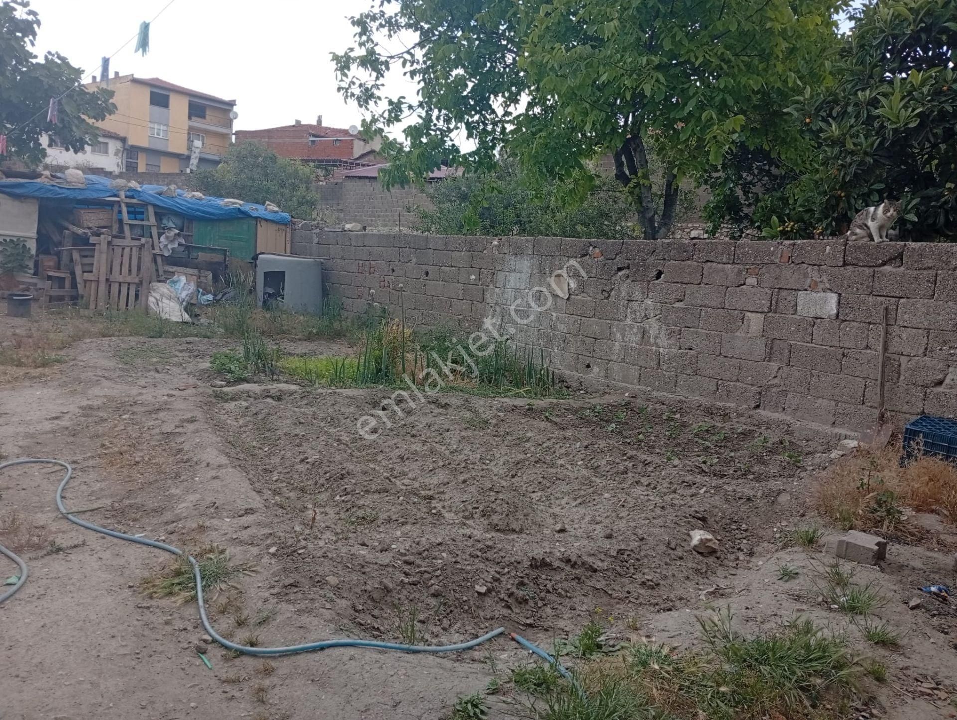 Akhisar Zeytinliova Da Satılık Arsa Fiyatına Köy Evi 875.000 Tl