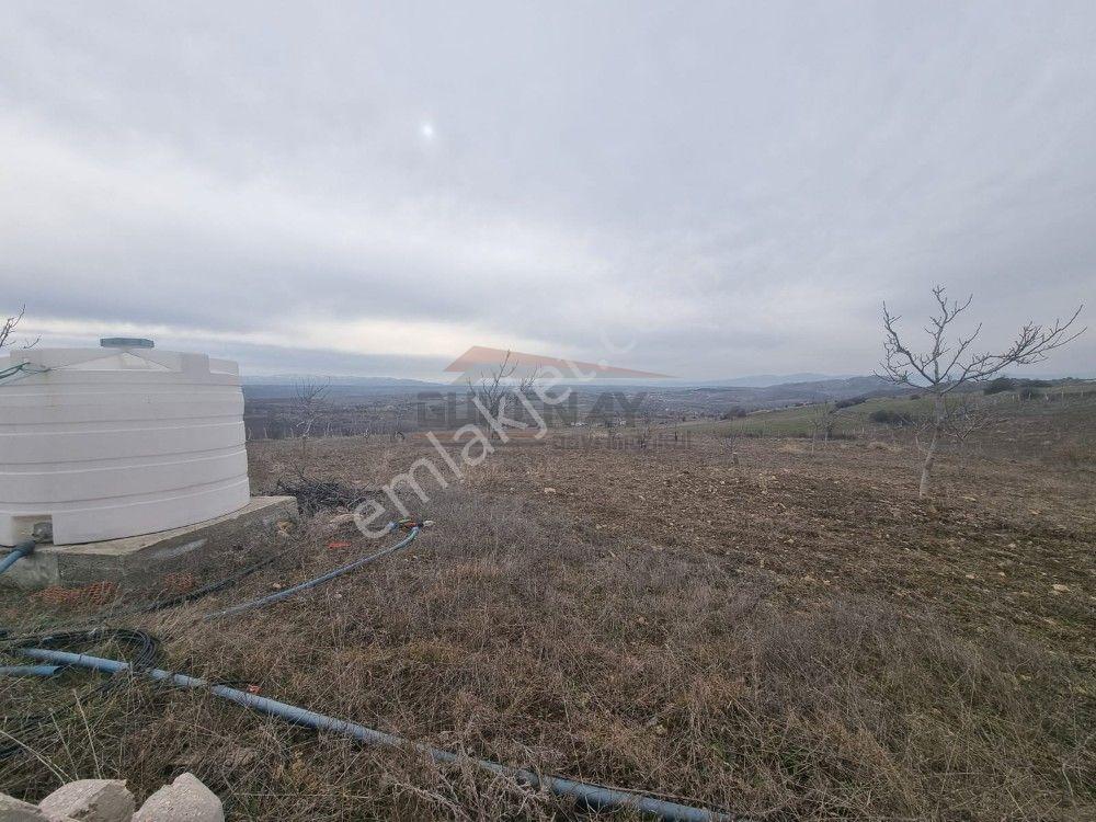 Güvenay – Çorum Atçalı Mevki – 6.830 M² Satılık Tarla - Görsel 3