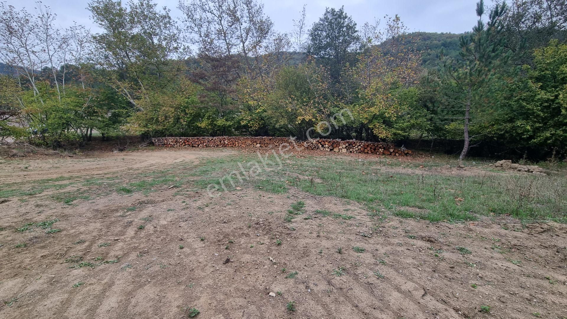 Bursa Gemlik Fındıcak'ta Satılık Suyu Yolu Olan Arazi