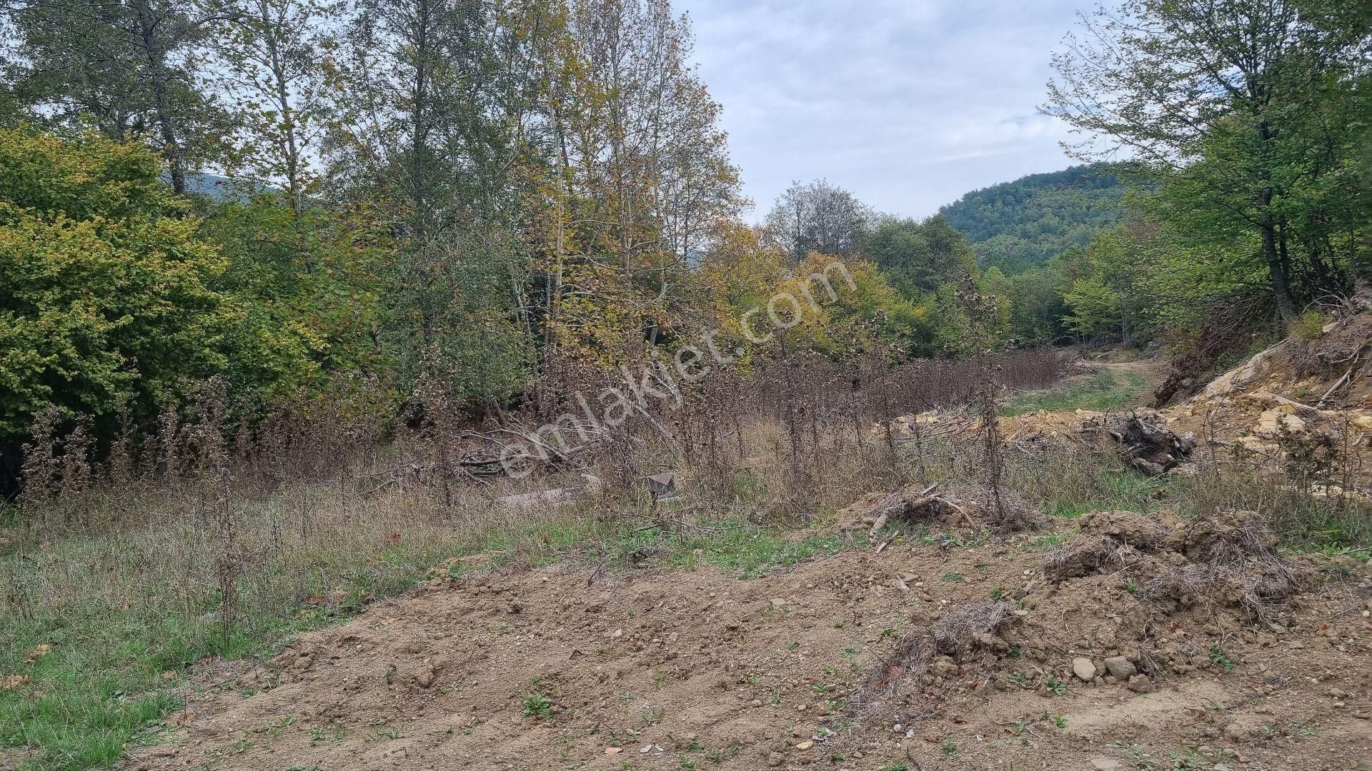 Bursa Gemlik Fındıcak'ta Satılık Suyu Yolu Olan Arazi - Görsel 11