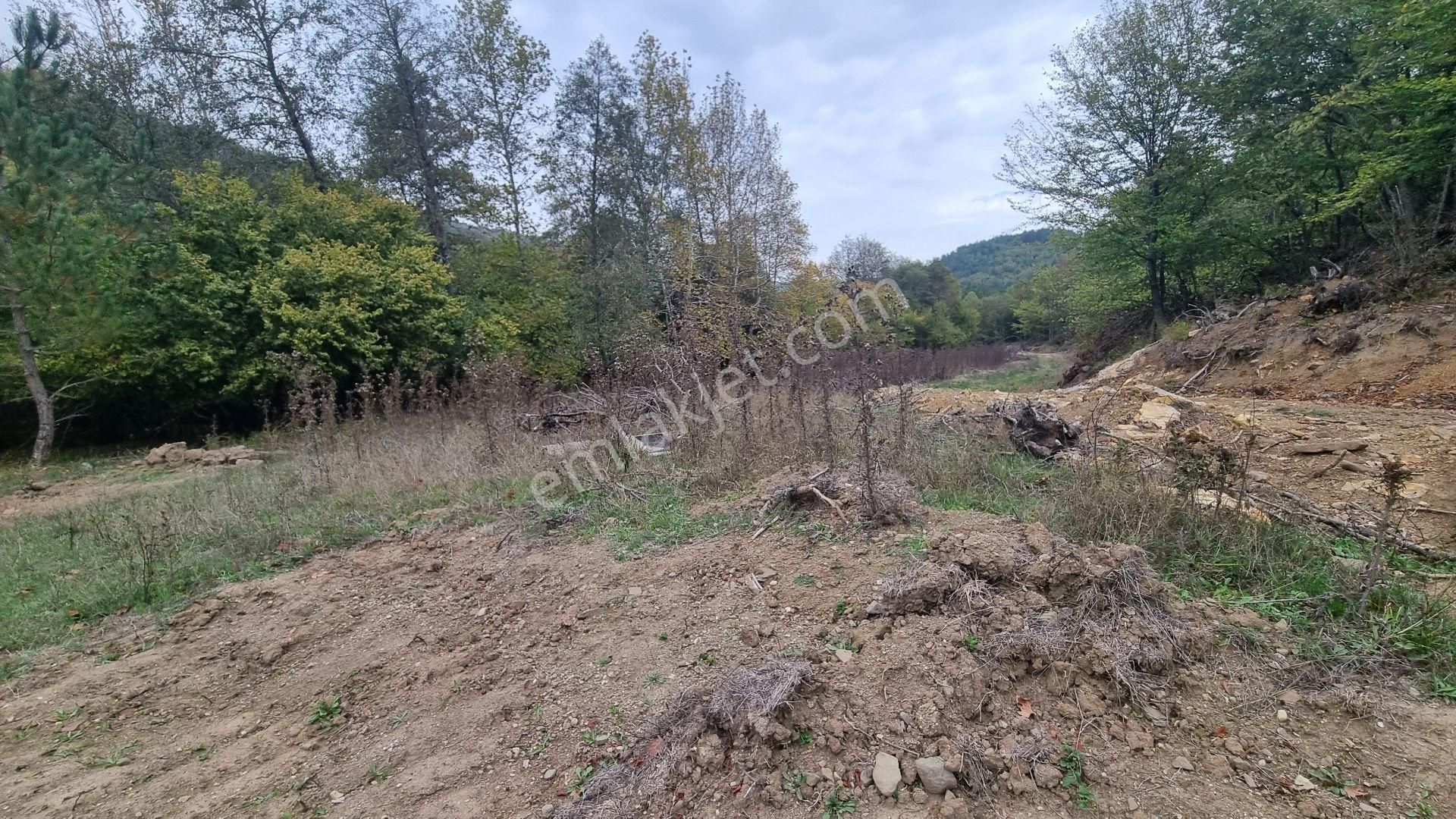 Bursa Gemlik Fındıcak'ta Satılık Suyu Yolu Olan Arazi - Görsel 4