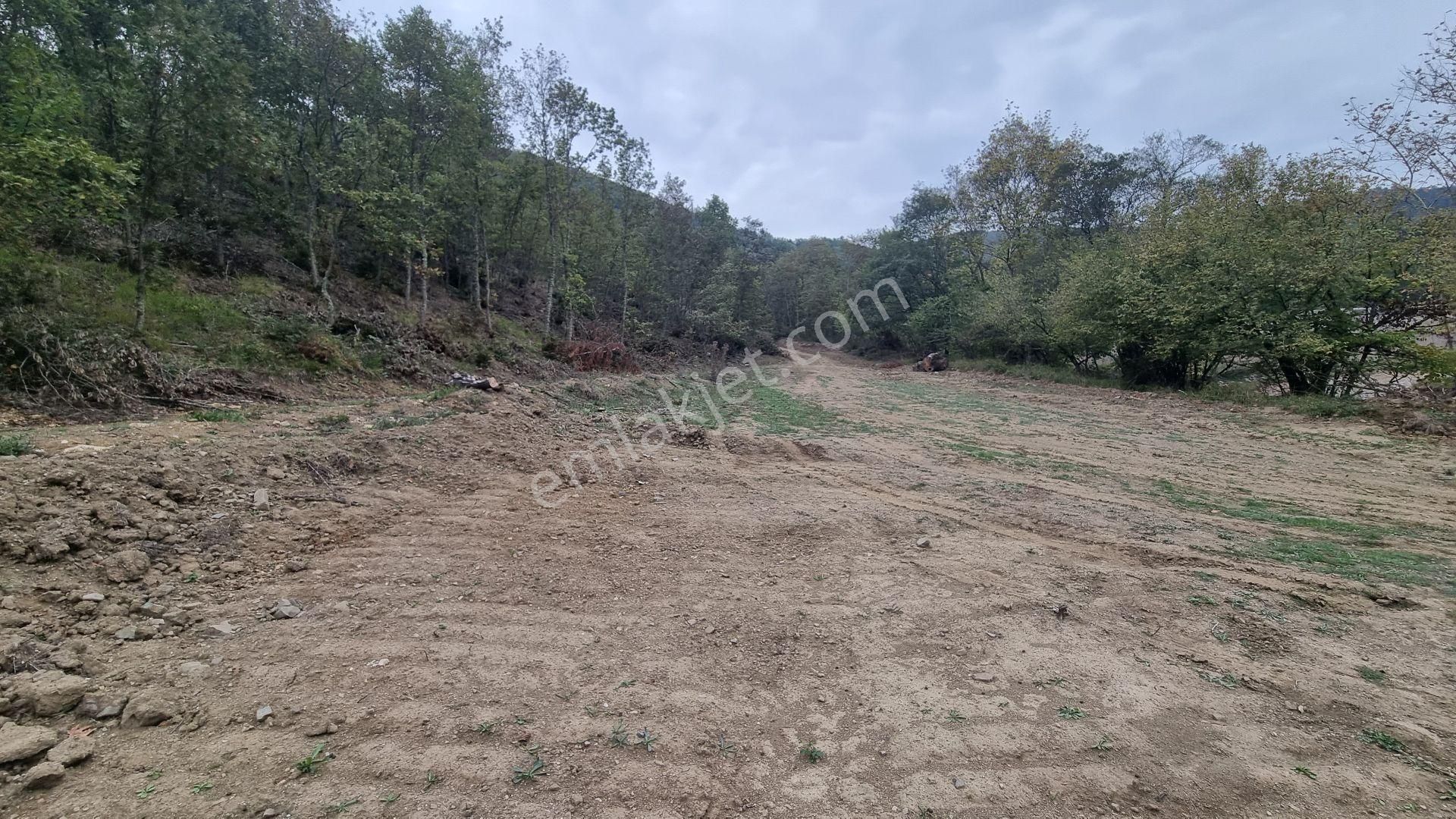 Bursa Gemlik Fındıcak'ta Satılık Suyu Yolu Olan Arazi - Görsel 6