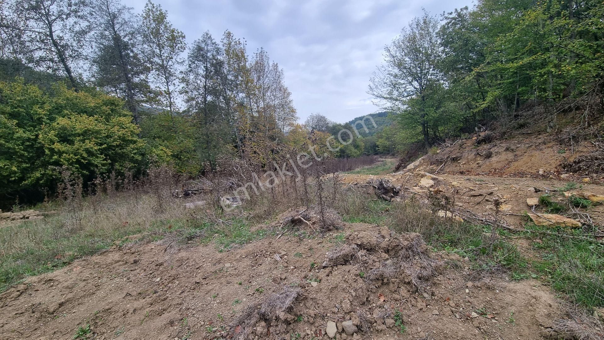 Bursa Gemlik Fındıcak'ta Satılık Suyu Yolu Olan Arazi - Görsel 5