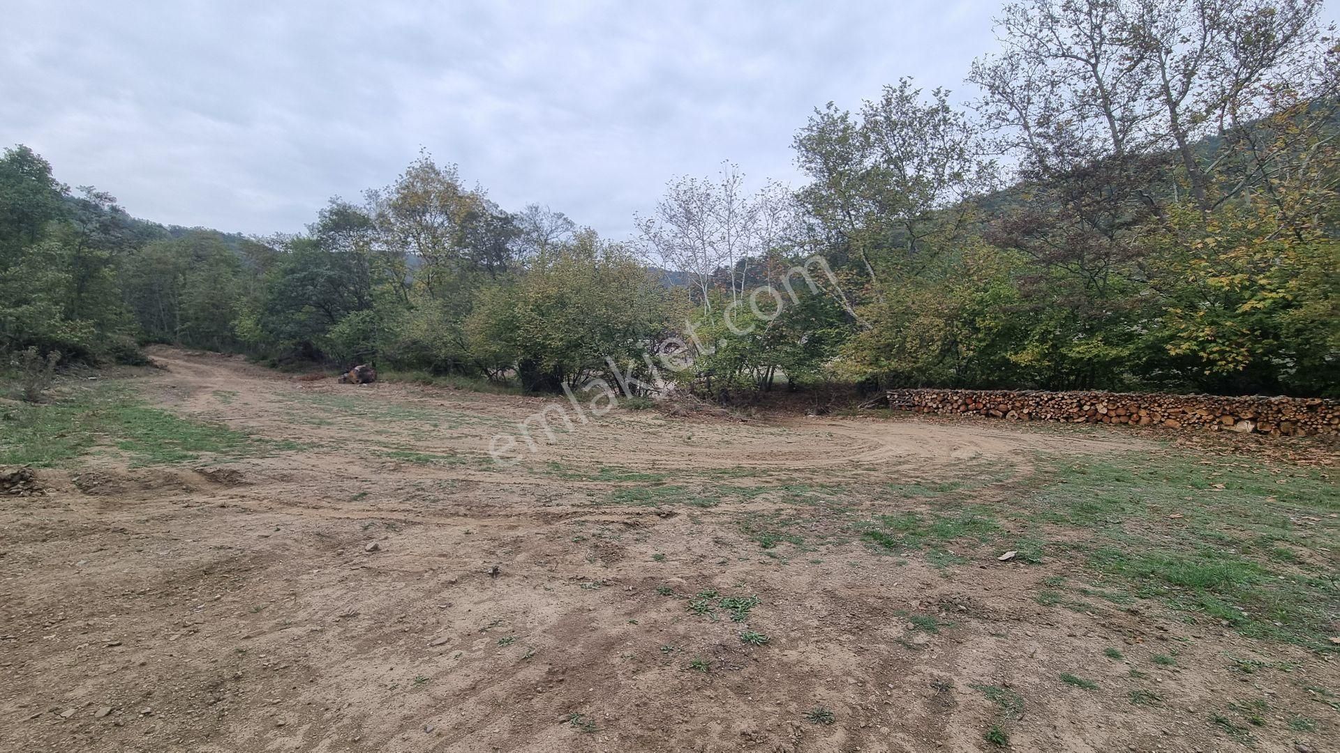 Bursa Gemlik Fındıcak'ta Satılık Suyu Yolu Olan Arazi - Görsel 8
