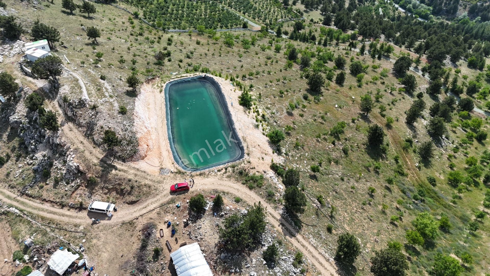 Bolkar'dan Arslanköy'de Satılık 120 Dönüm Ceviz Bahçesi