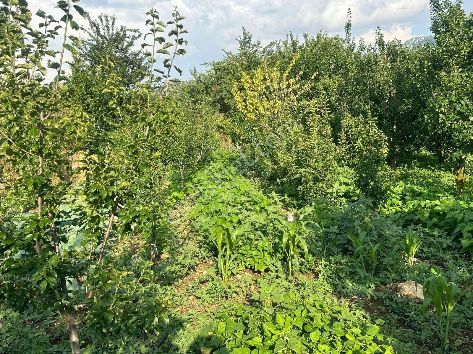 Arslanköy'de Muhteşem Konumda Satılık 947 M² Arsa - Görsel 3