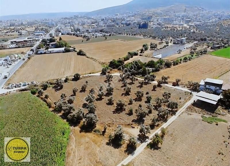 Acilll... Burgaz Mah. İmara Sadece 250 M - Satılık 9 Dönüm Tarla