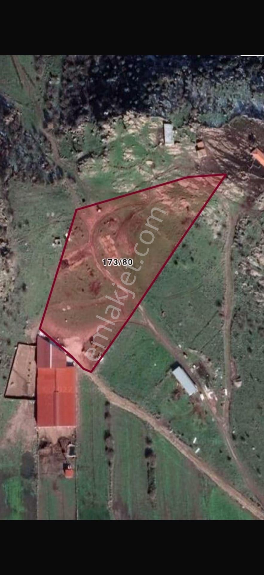 Merkez'den Kadastral Yola Cepheli Satılık Tarla - Görsel 2