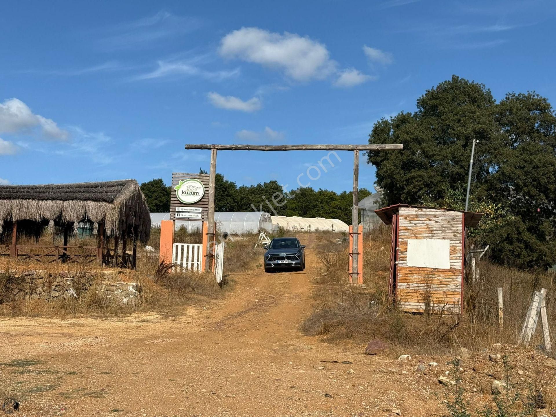 Kandıra'da 13 Dönüm Arazi; Kahvaltı Salonu, Sera Ve Ahırları Olan Fırsat Çiftlik - Görsel 3