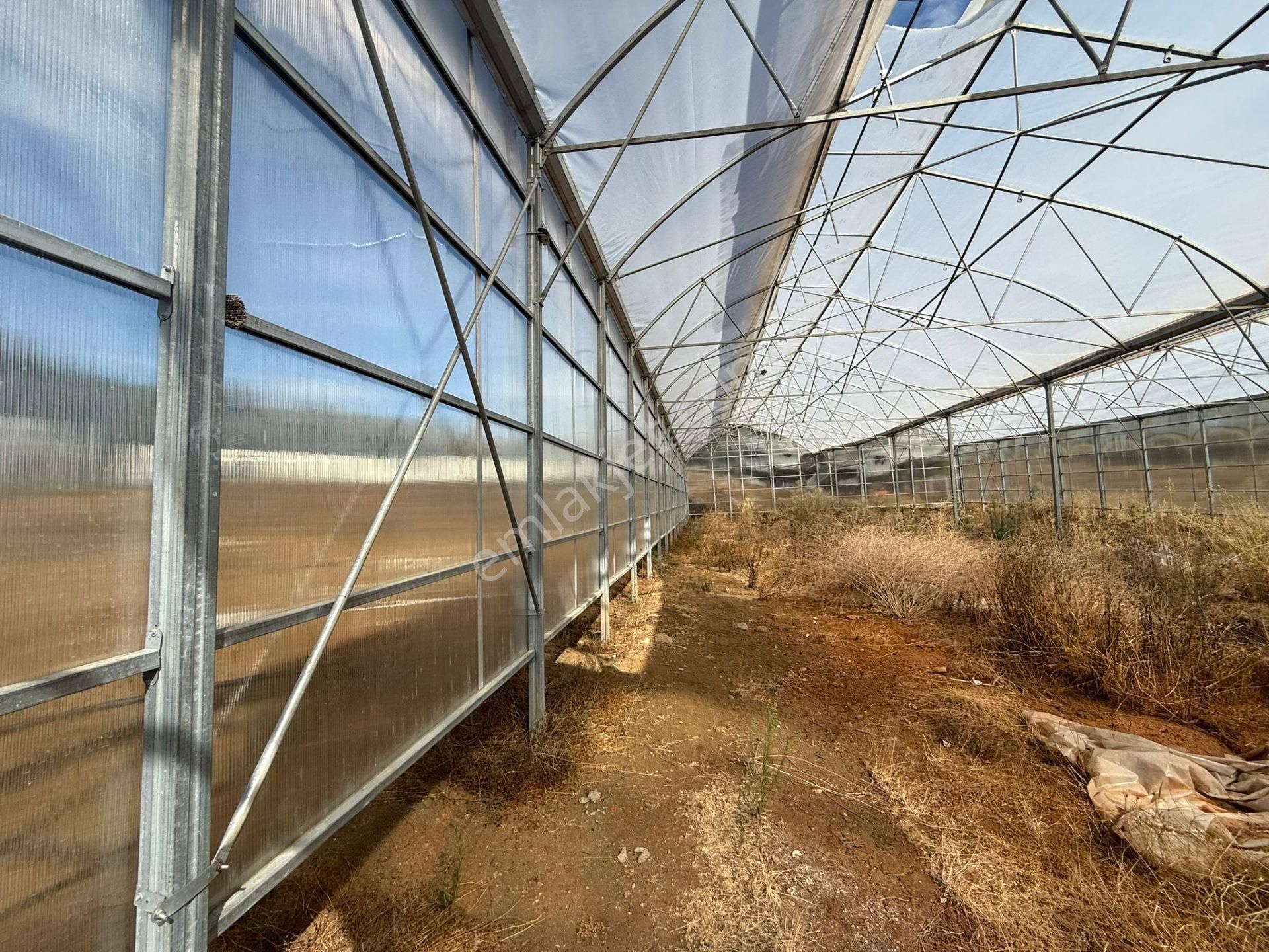 Kandıra'da 13 Dönüm Arazi; Kahvaltı Salonu, Sera Ve Ahırları Olan Fırsat Çiftlik - Görsel 24