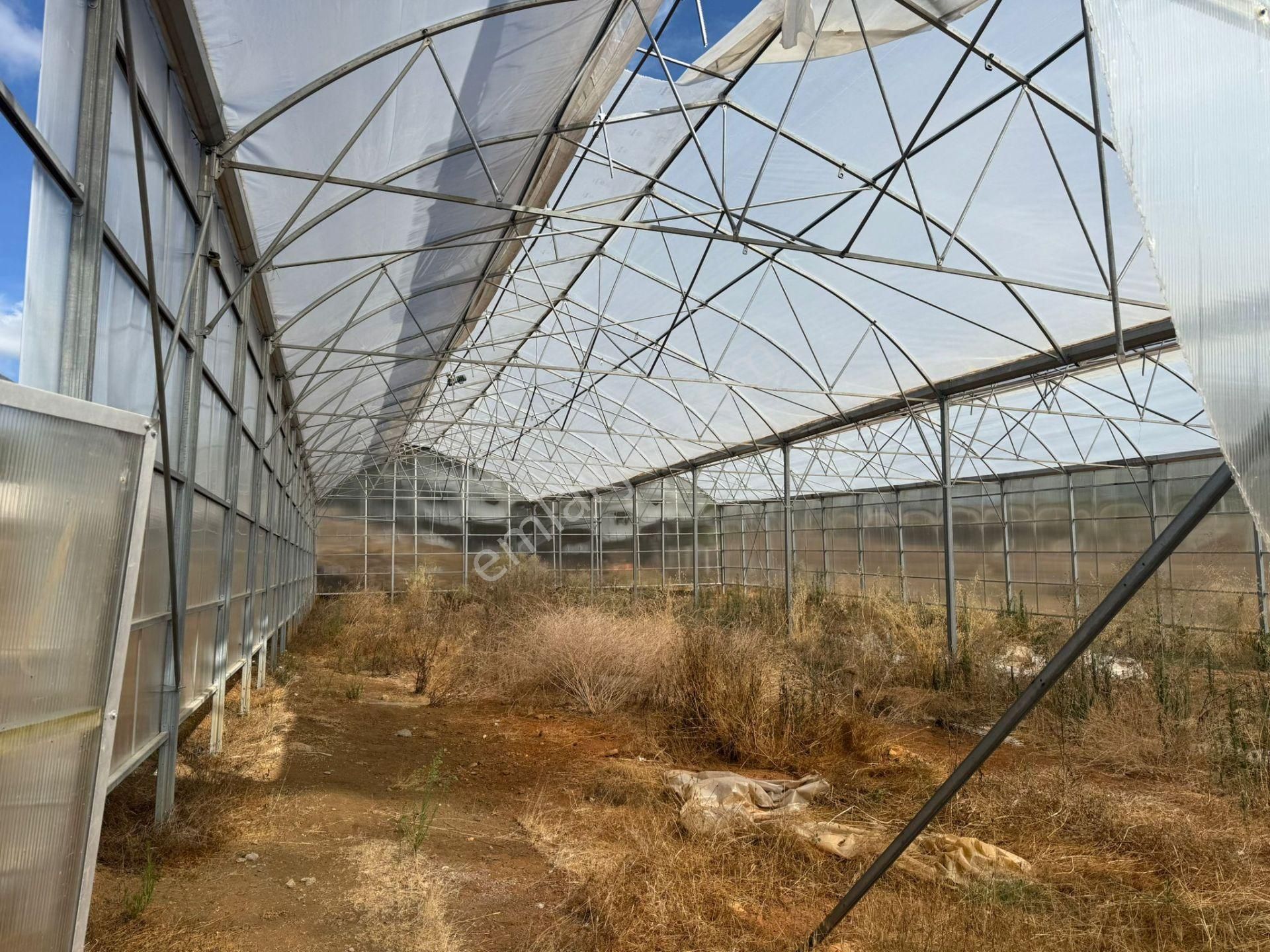 Kandıra'da 13 Dönüm Arazi; Kahvaltı Salonu, Sera Ve Ahırları Olan Fırsat Çiftlik - Görsel 25