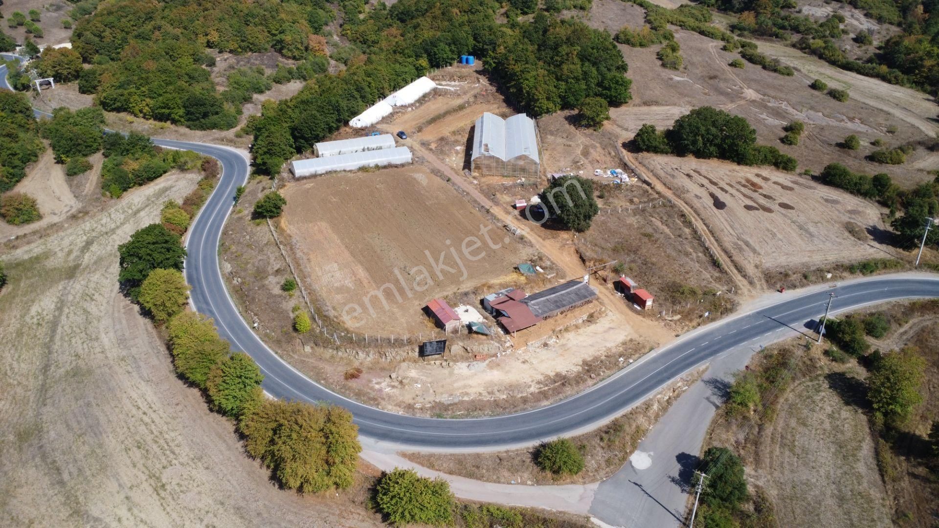 Kandıra'da 13 Dönüm Arazi; Kahvaltı Salonu, Sera Ve Ahırları Olan Fırsat Çiftlik - Görsel 10