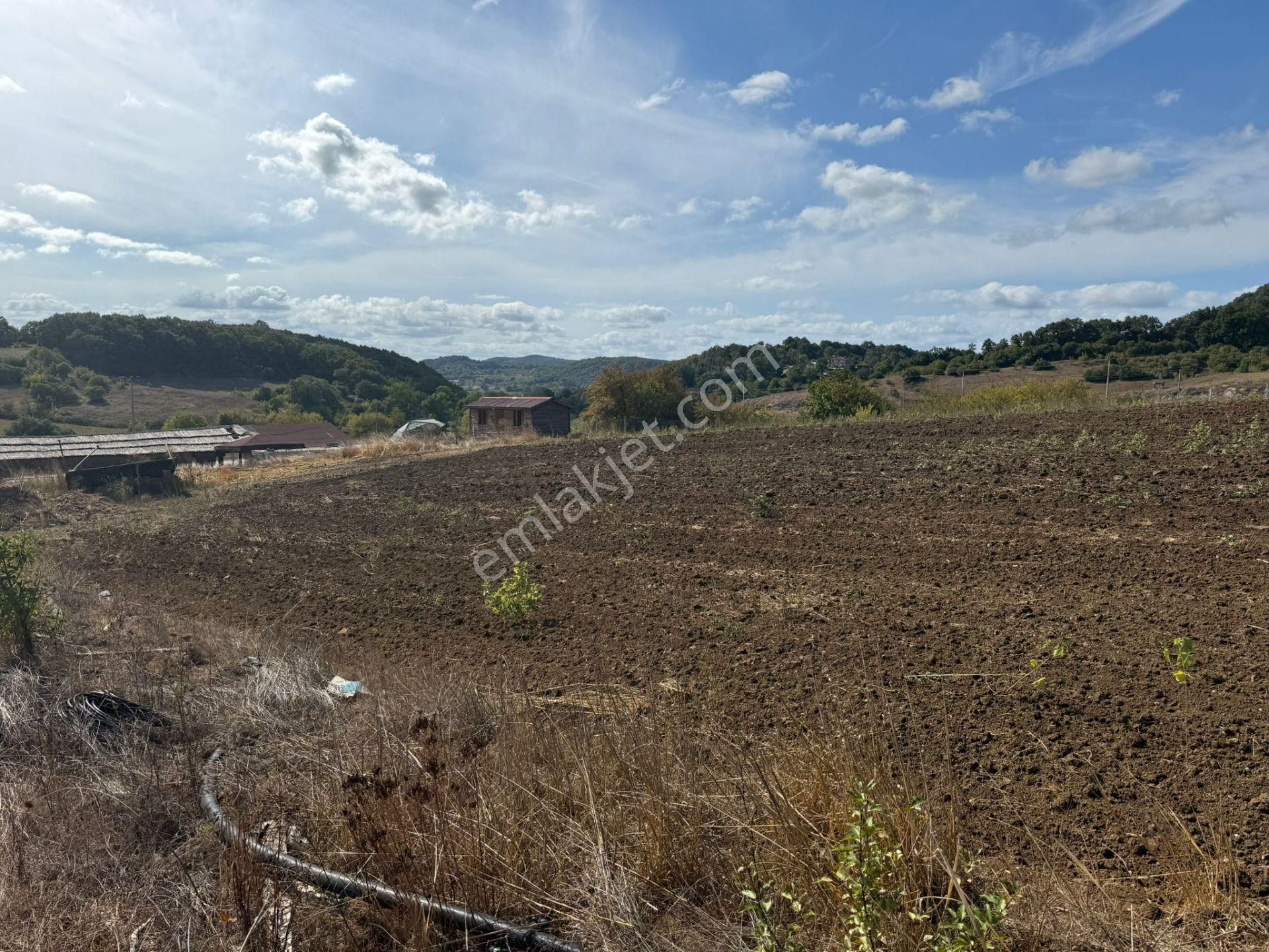 Kandıra'da 13 Dönüm Arazi; Kahvaltı Salonu, Sera Ve Ahırları Olan Fırsat Çiftlik - Görsel 23