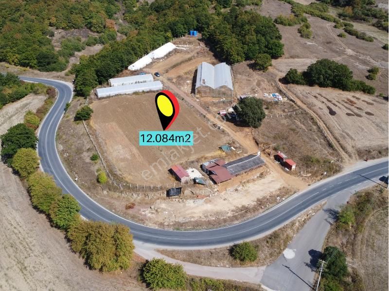 Kandıra'da 13 Dönüm Arazi; Kahvaltı Salonu, Sera Ve Ahırları Olan Fırsat Çiftlik