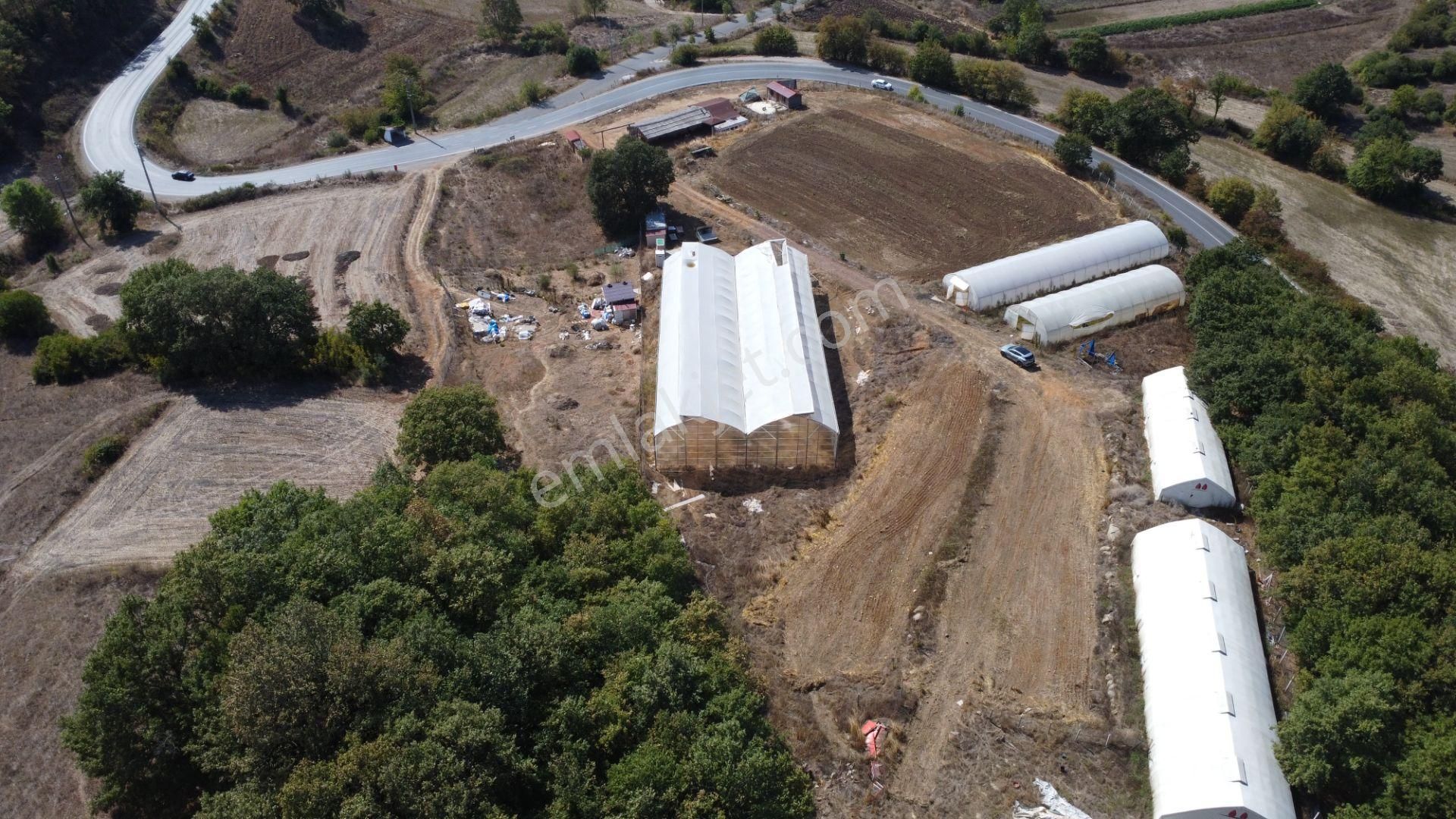 Kandıra'da 13 Dönüm Arazi; Kahvaltı Salonu, Sera Ve Ahırları Olan Fırsat Çiftlik - Görsel 5